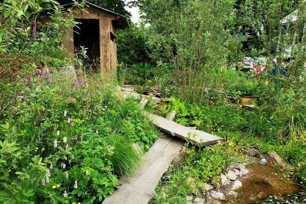 Foto de jardim premiado pelo júri do RHS Chelsea Flower Show com folhagens e flores, caminho e casebre