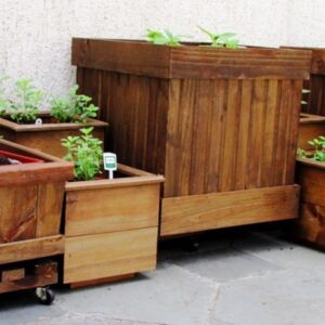 Foto de horta em caixas de madeira, algumas com rodízios