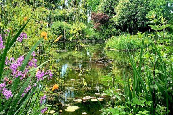 Foto de Jardins de Monet com lago, plantas aquáticas, flores e outras plantas