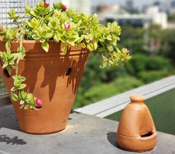 Foto de vaso com suculenta e bebedouro de pássaros em uma varanda