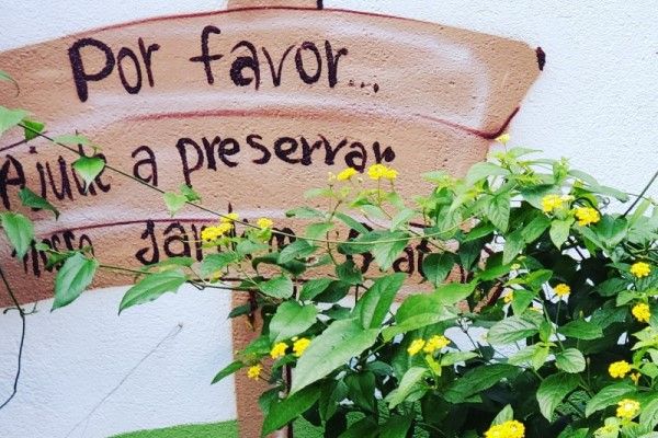 Foto de trepadeira em frente a um desenho de placa escrito "Por favor, ajude a preservar nosso jardim"