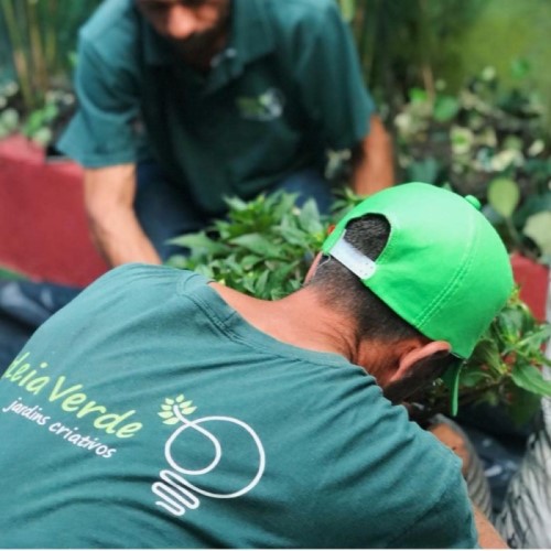 Foto de dois jardineiros da Ideia Verde plantando