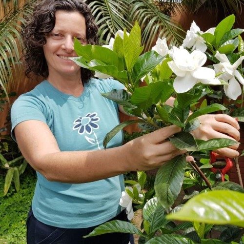 Foto da paisagista Kátia Crespo manejando um jasmim de flores brancas